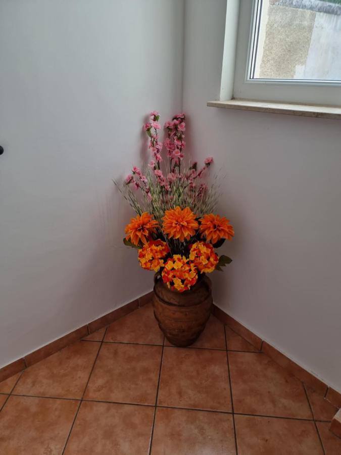 Apartments Katarina Šmrika Екстериор снимка
